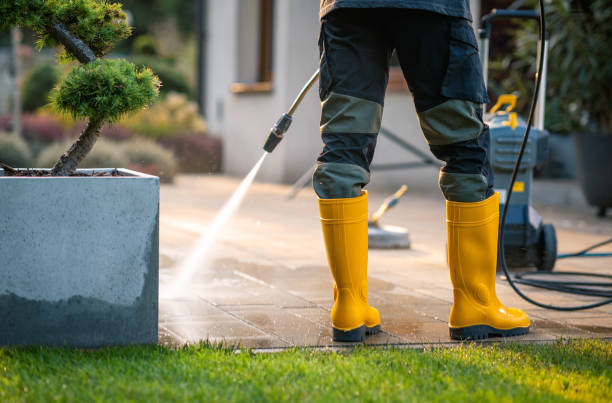 Best Affordable Pressure Washing  in Walton Hills, OH